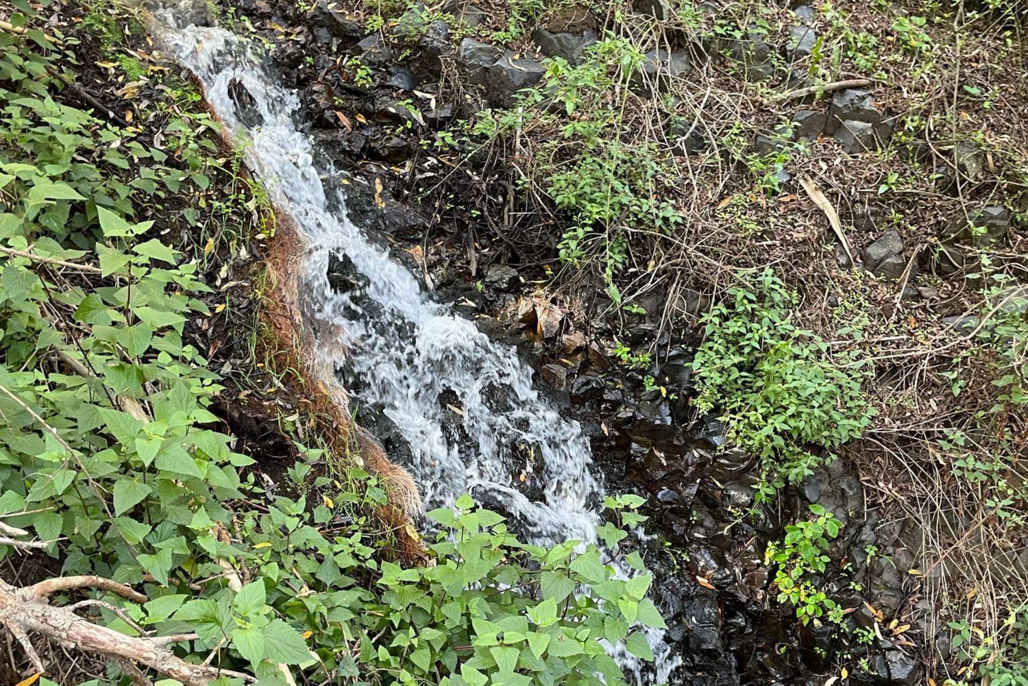 Gran Canaria: a trip to the Barranco de los Cernícalos