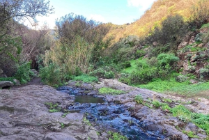 Gran Canaria: a trip to the Barranco de los Cernícalos