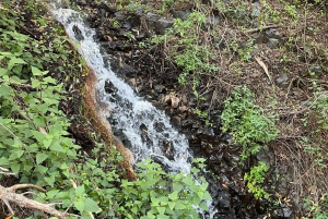 Gran Canaria: a trip to the Barranco de los Cernícalos