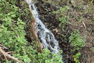 Gran Canaria: a trip to the Barranco de los Cernícalos