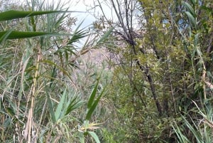 Gran Canaria: a trip to the Barranco de los Cernícalos