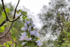 Gran Canaria: a trip to the Barranco de los Cernícalos