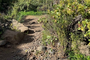 Gran Canaria: a trip to the Barranco de los Cernícalos