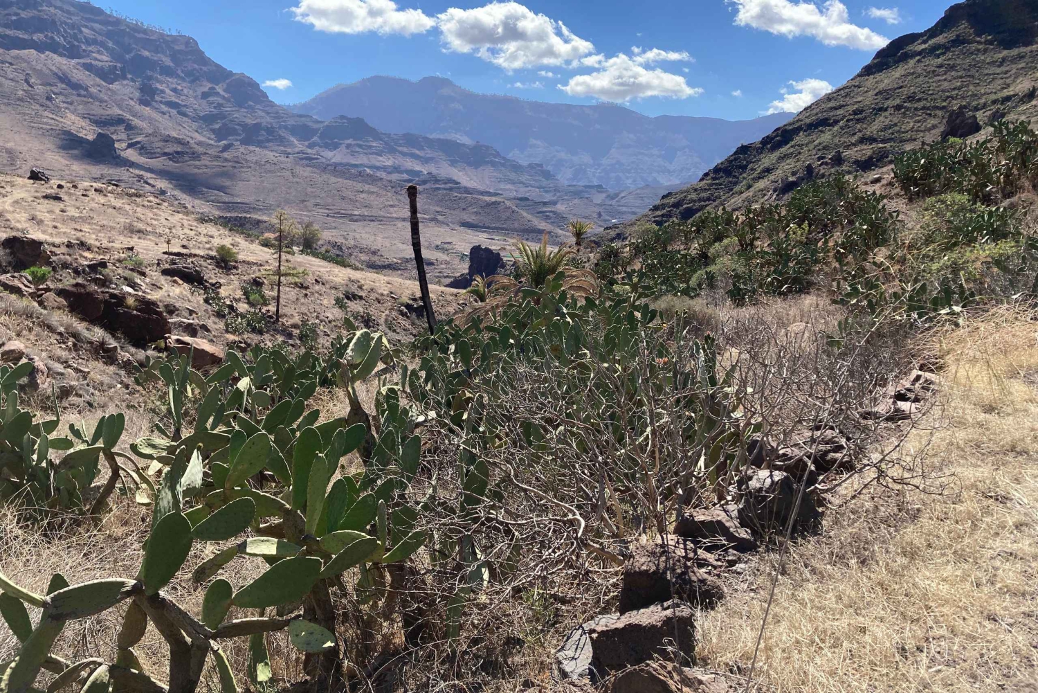 Gran Canaria: a trip to the Veneguera Valley
