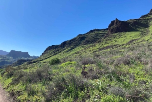 Gran Canaria: a trip to the Veneguera Valley