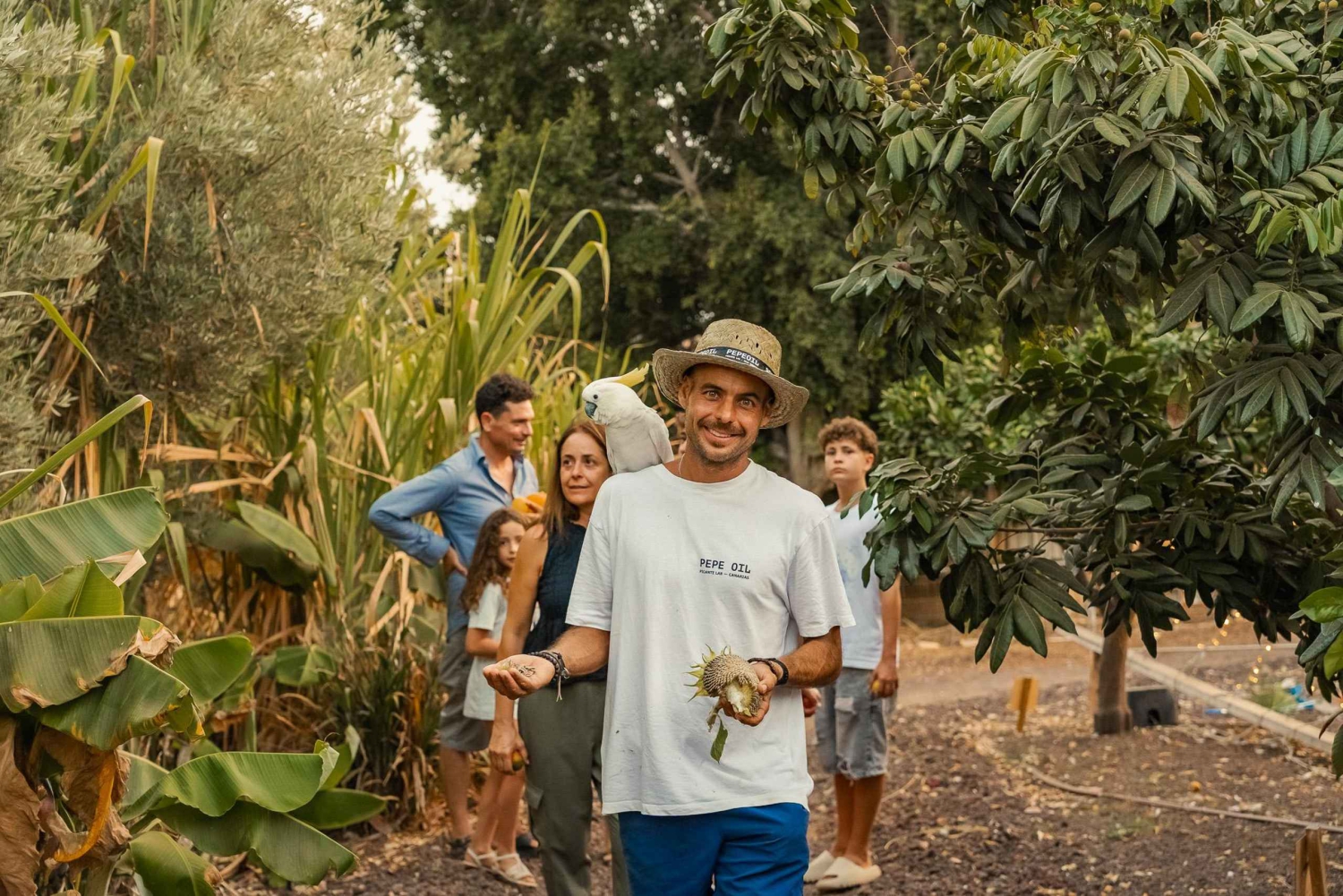 Gran Canaria: Agüimes, Gofio Mill & Eco Farm Food Tasting