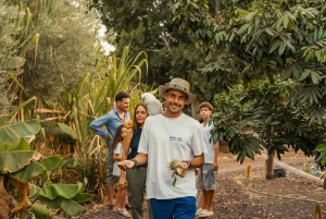 Gran Canaria: Agüimes, Gofio Mill & Eco Farm Food Tasting