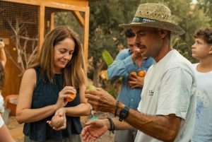 Gran Canaria: Agüimes, Gofio Mill & Eco Farm Food Tasting