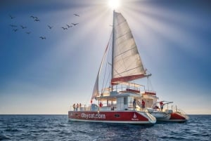 Gran Canaria: Tour todo incluido en el sur de Gran Canaria