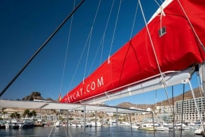 Gran Canaria: Tour todo incluido en el sur de Gran Canaria