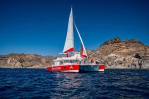 Gran Canaria: Tour todo incluido en el sur de Gran Canaria