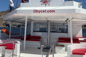 Gran Canaria: Tour todo incluido en el sur de Gran Canaria