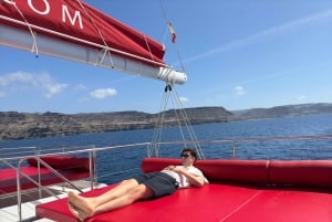 Gran Canaria: Tour todo incluido en el sur de Gran Canaria