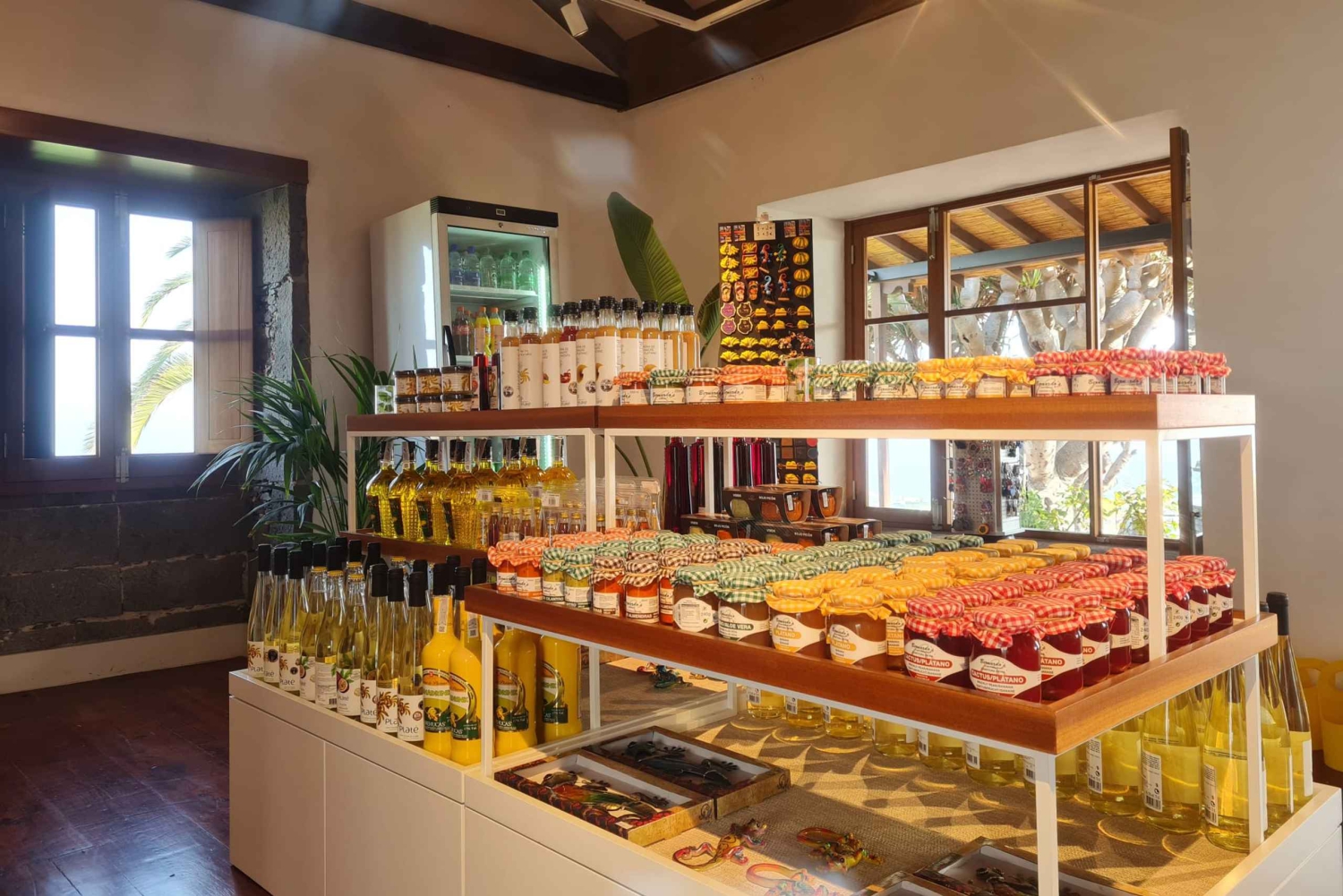 Gran Canaria: Banana World Guided Tour & Tasting