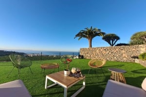 Gran Canaria: Banana World Guided Tour & Tasting