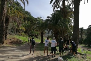 Gran Canaria: Paseo en camello en el Camel Safari Park
