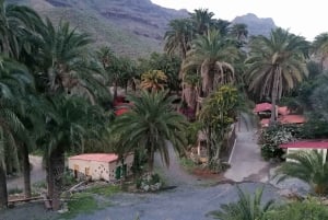 Gran Canaria: Paseo en camello en el Camel Safari Park