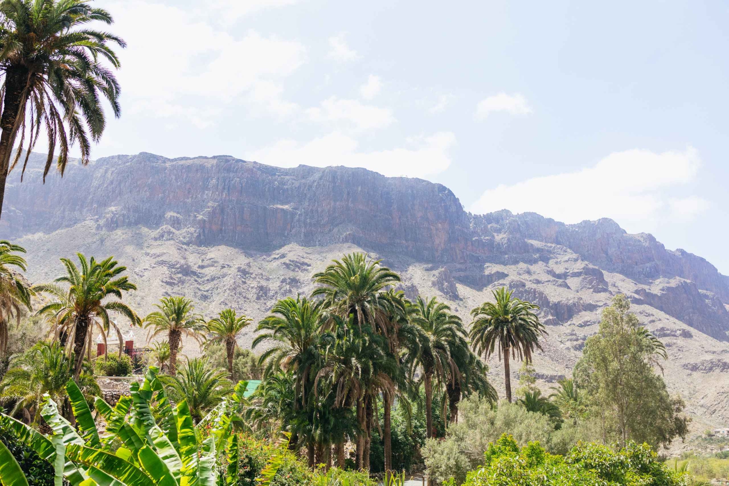 Gran Canaria: Camel Ride Safari w/ Optional Food & Transport