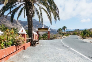 Gran Canaria: Camel Ride Safari w/ Optional Food & Transport