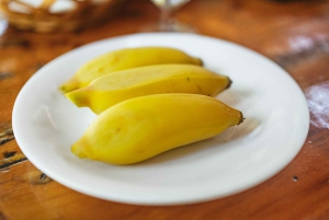 Gran Canaria: Camel Ride Safari w/ Optional Food & Transport