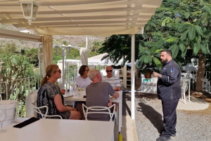 Gran Canaria: canarian rum & local cheese tasting tour