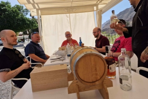 Gran Canaria: canarian rum & local cheese tasting tour