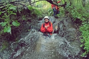 Gran Canaria: Aventura de Barranquismo en la Selva del Corazón Verde