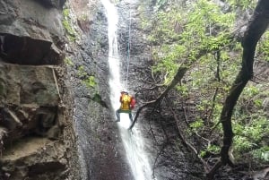 Gran Canaria: Aventura de Barranquismo en la Selva del Corazón Verde