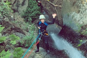 Gran Canaria: Aventura de Barranquismo en la Selva del Corazón Verde