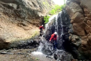 Gran Canaria: Aventura de Barranquismo en la Selva del Corazón Verde