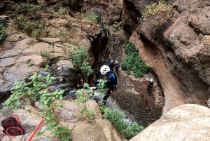Gran Canaria: Aventura de Barranquismo en la Selva del Corazón Verde