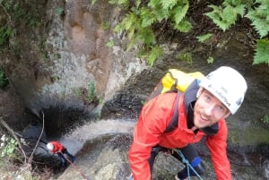 Gran Canaria: Aventura de Barranquismo en la Selva del Corazón Verde