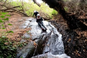 Gran Canaria: Aventura de Barranquismo en la Selva del Corazón Verde