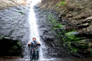 Gran Canaria: Aventura de Barranquismo en la Selva del Corazón Verde