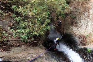 Gran Canaria: Aventura de Barranquismo en la Selva del Corazón Verde