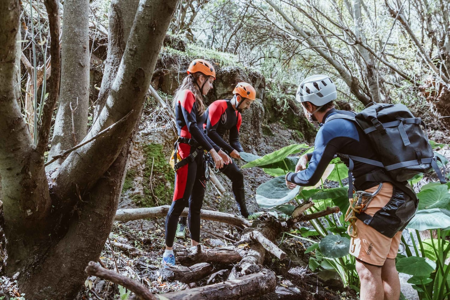 Gran Canaria: Canyoning in the Rainforest
