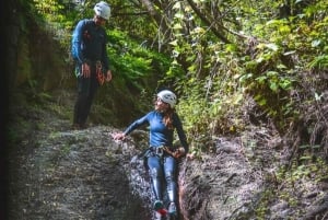 Gran Canaria: Canyoning in the rainforest