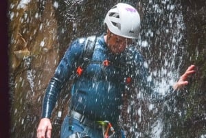 Gran Canaria: Canyoning in the rainforest