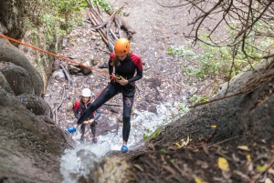 Gran Canaria: Canyoning in the Rainforest