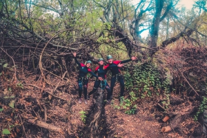 Gran Canaria: Canyoning in the Rainforest
