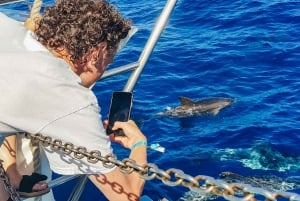 Gran Canaria: Catamaran Dolphin Watch Cruise with Snorkeling
