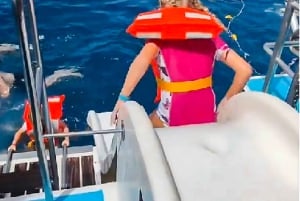 Gran Canaria: Catamaran Dolphin Watch Cruise with Snorkeling