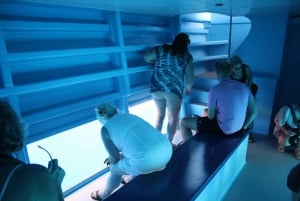 Gran Canaria: Catamaran Dolphin Watch Cruise with Snorkeling