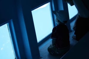 Gran Canaria: Catamaran Dolphin Watch Cruise with Snorkeling