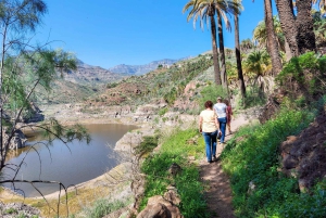Gran Canaria: Barranco Rojo, Cueva, Oasis Excursión de Aventura y Picnic