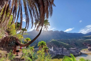 Gran Canaria: Barranco Rojo, Cueva, Oasis Excursión de Aventura y Picnic