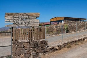 Gran Canaria: Cheese workshop in Agüimes