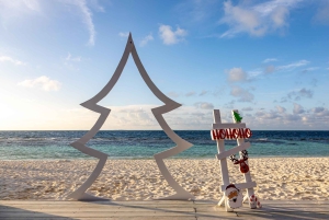 Gran Canaria: sesión de fotos navideñas