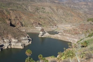 Gran Canaria: Excursión en escarabajo descapotable