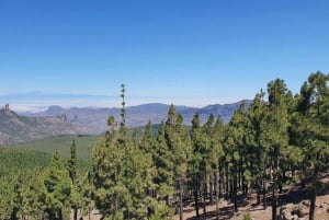 Gran Canaria: Excursión en escarabajo descapotable